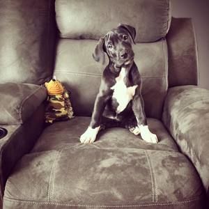 Meet your Posher, Ashley